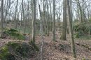 Vers la Butte St Martin